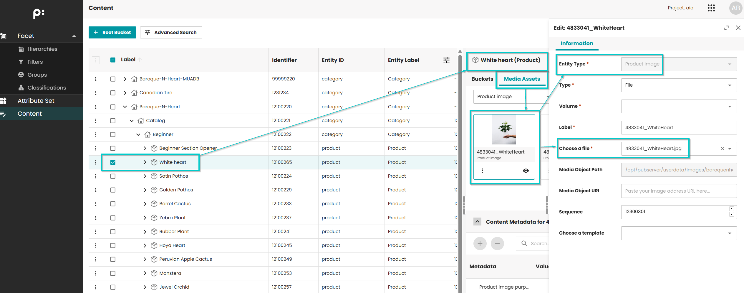 Example media asset