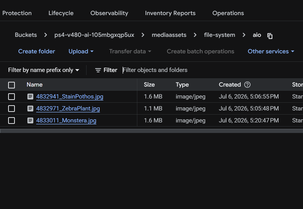 The uploaded images in the object storage bucket